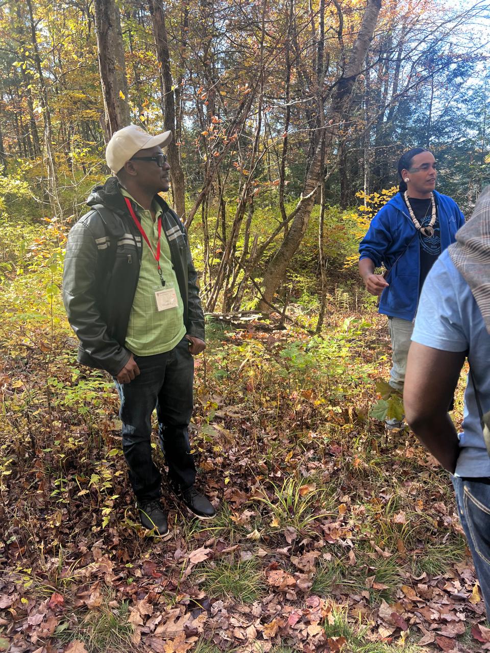 Reforestation project