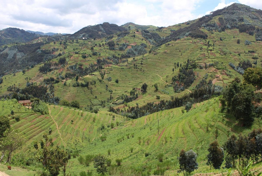 Climate adaptation and ecosystem restoration