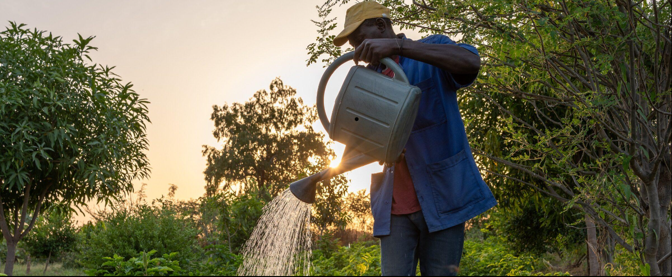 Technical assistance and capacity building