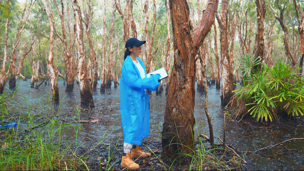 Liberia river and nature