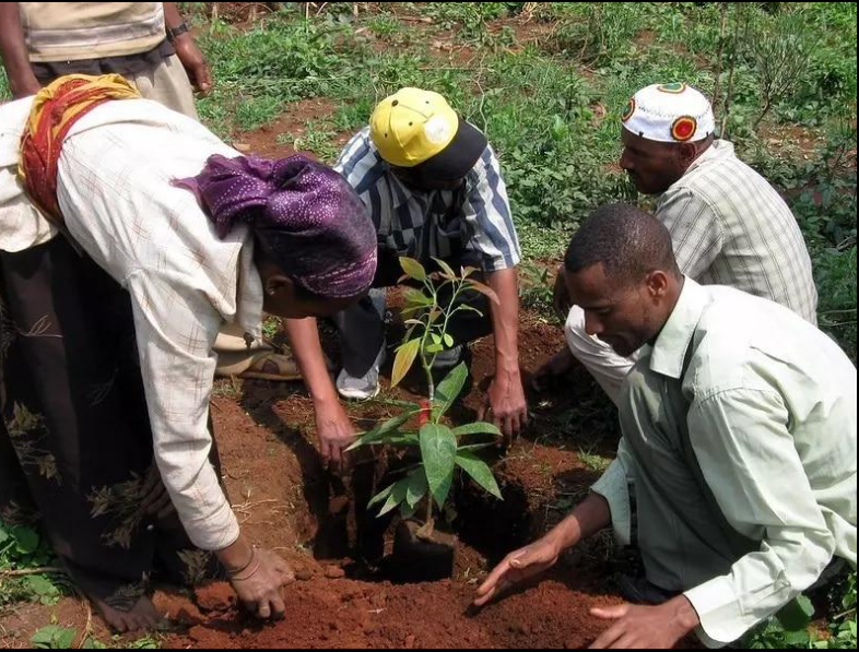 Evidence based action